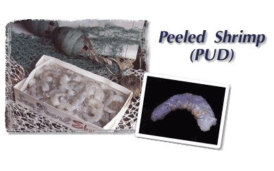 Peeled shrimp